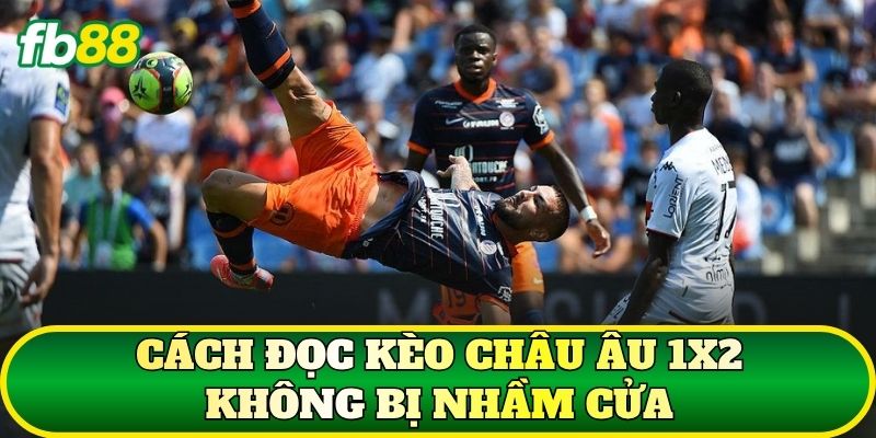 Cách đọc kèo châu Âu 1x2 không bị nhầm cửa